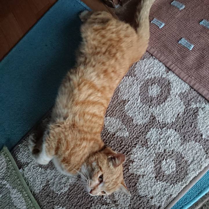 5544946f 4fd1 4537 9598 6186e3935ec8 1556271379137