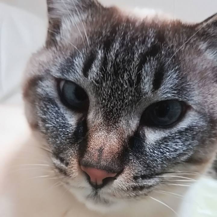 55449f21 a03b 43e6 96ef 838284772b7c 1518705529683