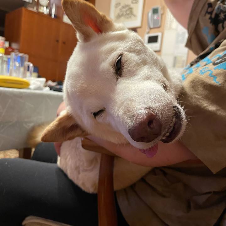 5544ecb8 bd1e 49e2 93b4 f36171e590ba 1654779080778