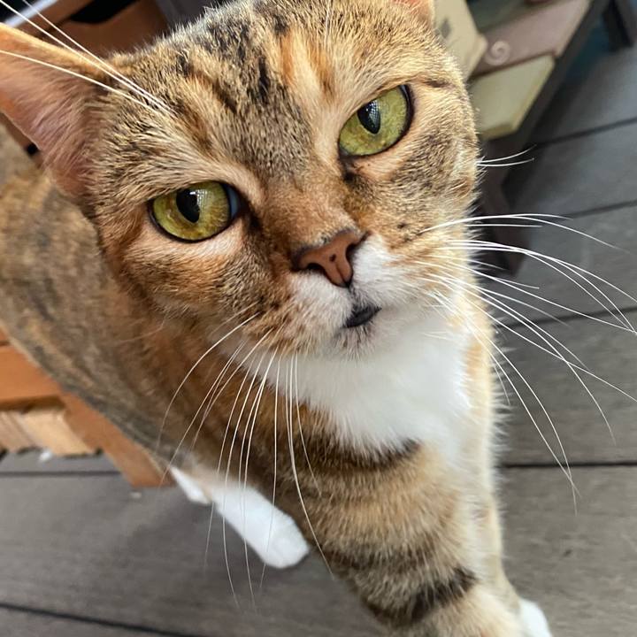 55450631 3145 4c68 a341 23c5a02e7382 1623081402261