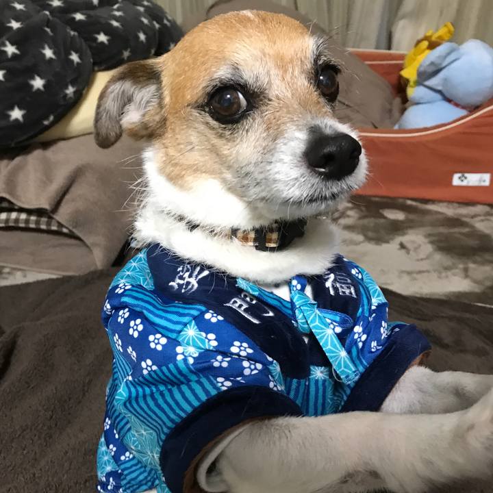 55456b98 4d1a 4904 9ad5 53f6db1dfb6f 1582755017698