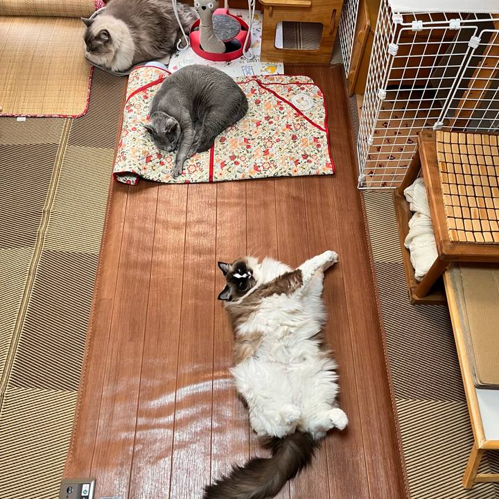 5545cd39 d308 4cc6 9095 bdf6dcb18cb2 1672824986839