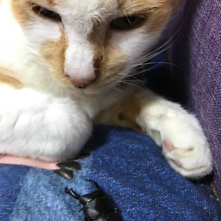 5545e78c 334d 4f33 95cd 09ecfe2401ce 1537531781284