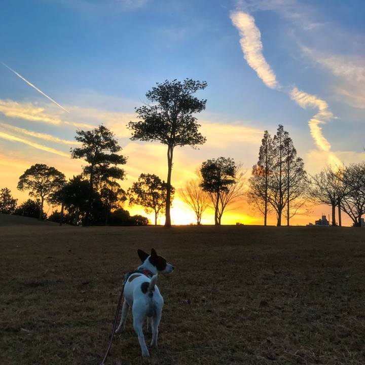 5545ed87 549d 4ed4 af91 25985558c44e 1513245871986