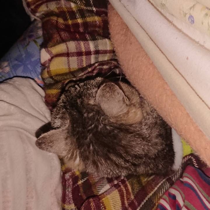 5545fcd7 426c 4156 8cb0 a075d6c77fc2 1586527873359