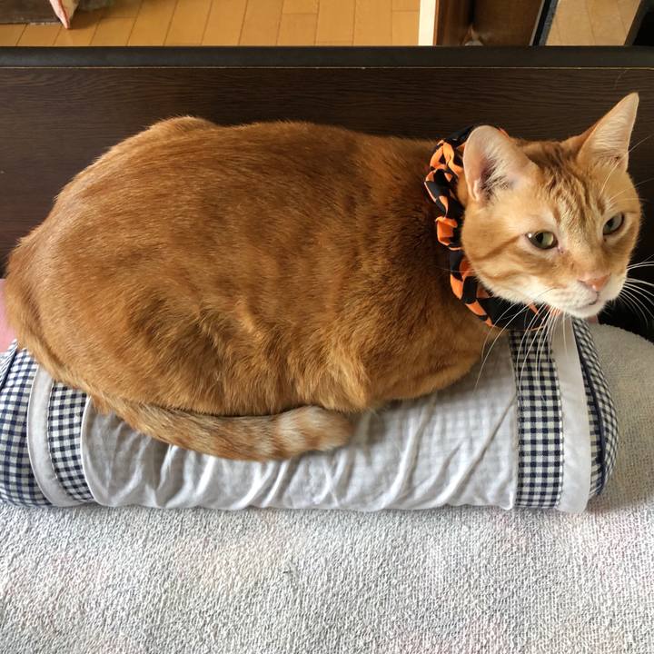 5546150f aa75 47bc 8893 96870bab8a07 1570830849593