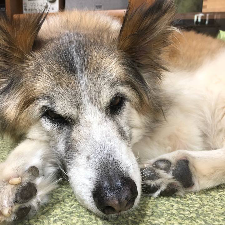 55462f3b 601e 40b5 9a47 e01198849b6e 1532140908158