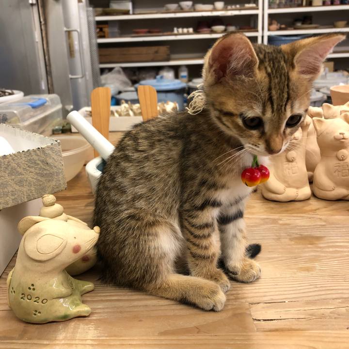 5546711c 8970 4222 b4b8 3a8a5bc953f0 1577024708533