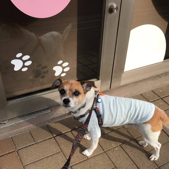 55469988 7e02 47e9 8d42 a04bfa559a4a 1542503420636