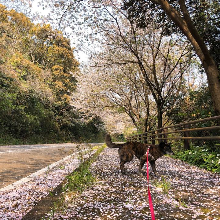 5546b1f1 5278 4718 be5a 68e97f79ae87 1586340333265