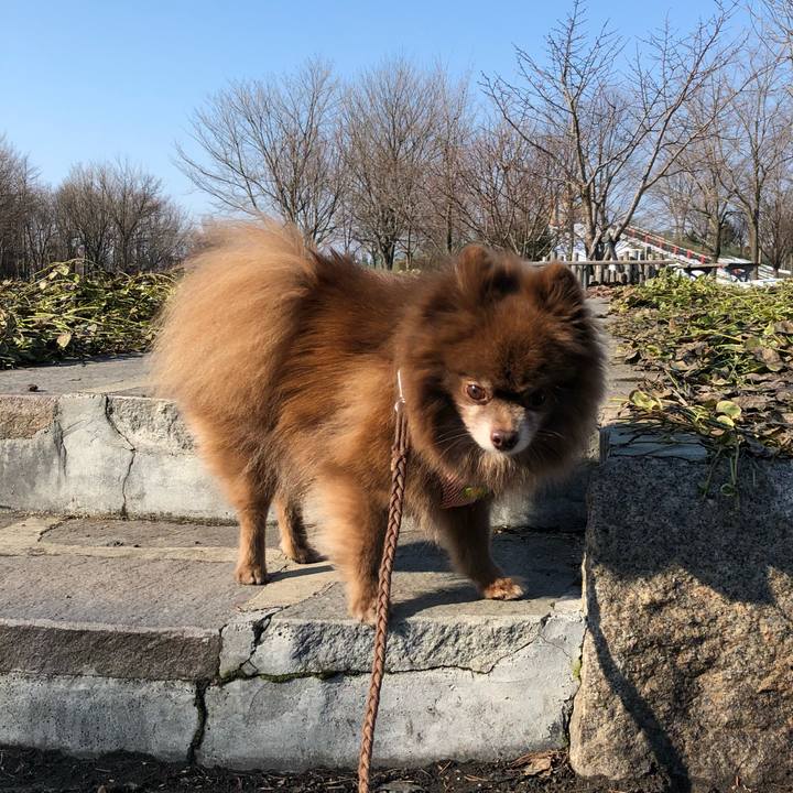 5546b4d0 cd04 47a8 a9b6 1d1199144949 1551747367988