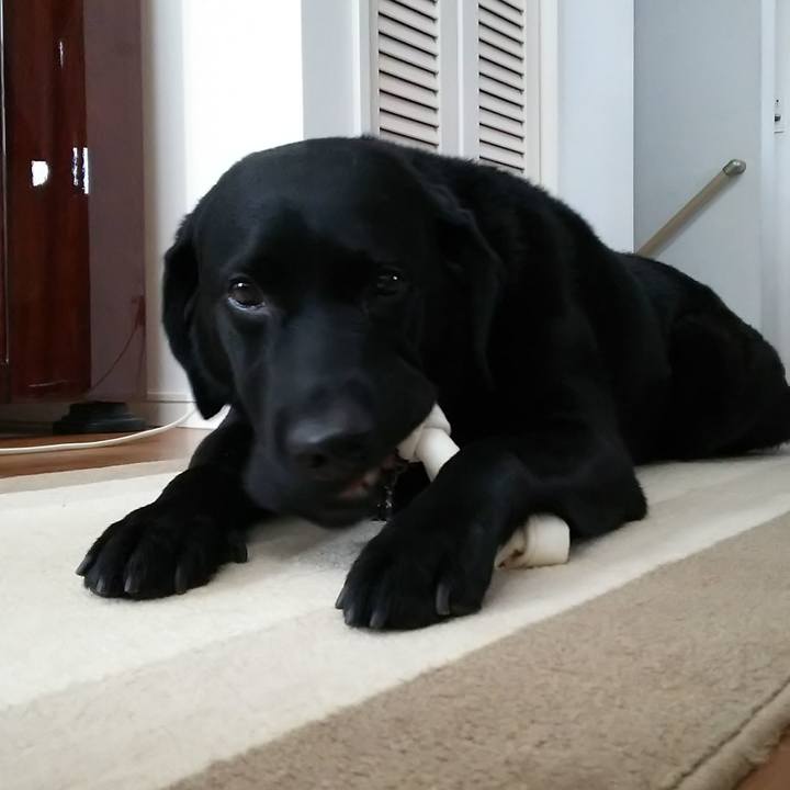 5546d070 026e 4bec 9066 698cee88ff4b 1691810037289