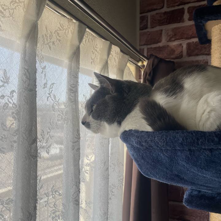 5546e0bd 582c 4b07 a976 a30626b26a92 1683074984120