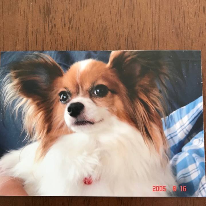 5546fb68 f5fb 4049 a0d7 99921b270a92 1549837902043