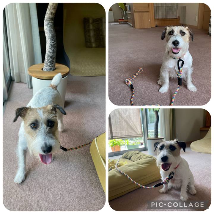 55471794 627b 46bc a873 ea2a1eea49bd 1656828191037