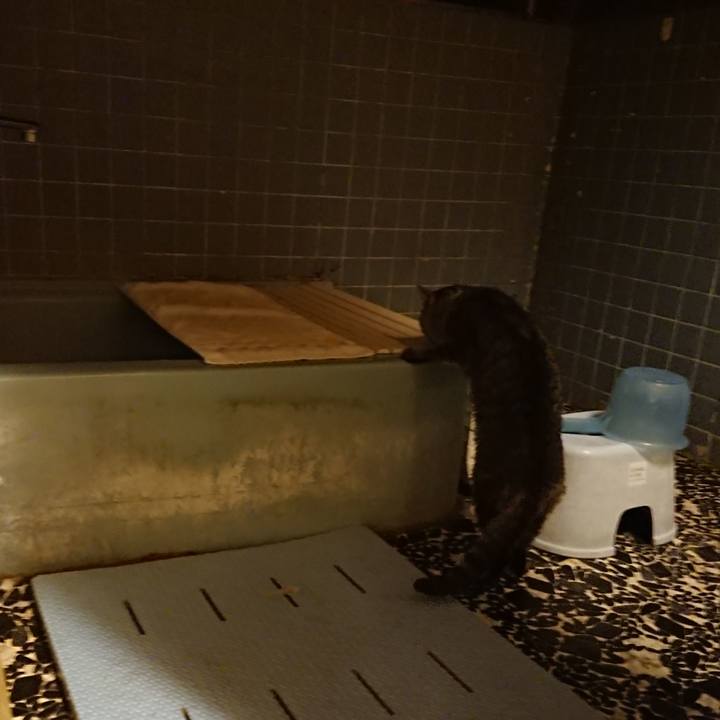 55472087 d747 4b4e a881 d32d80445594 1579424049307