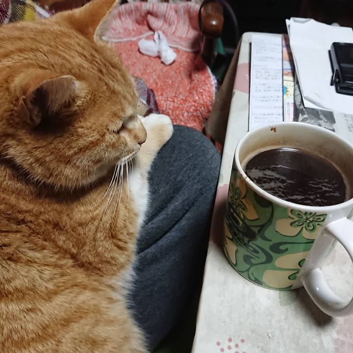 55475f77 0eee 4494 b5e2 0aa5fe121eb8 1580069456496