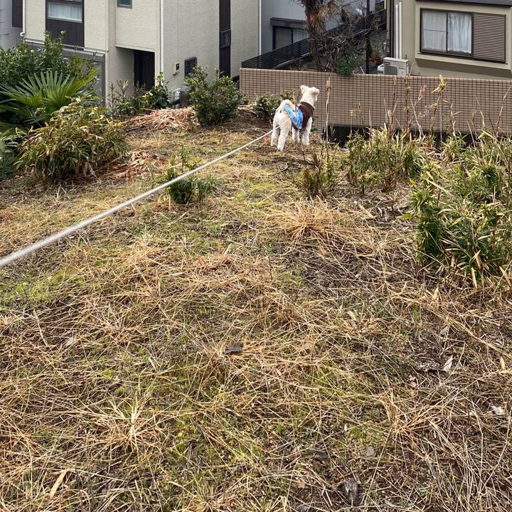 5547c5c1 a625 404e 8b43 3a005dd0bfbf 1579070698172