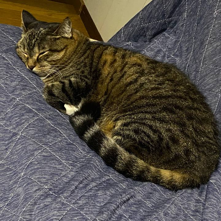 5547cafb aadd 4711 880d f159e6cb3a48 1665413276131