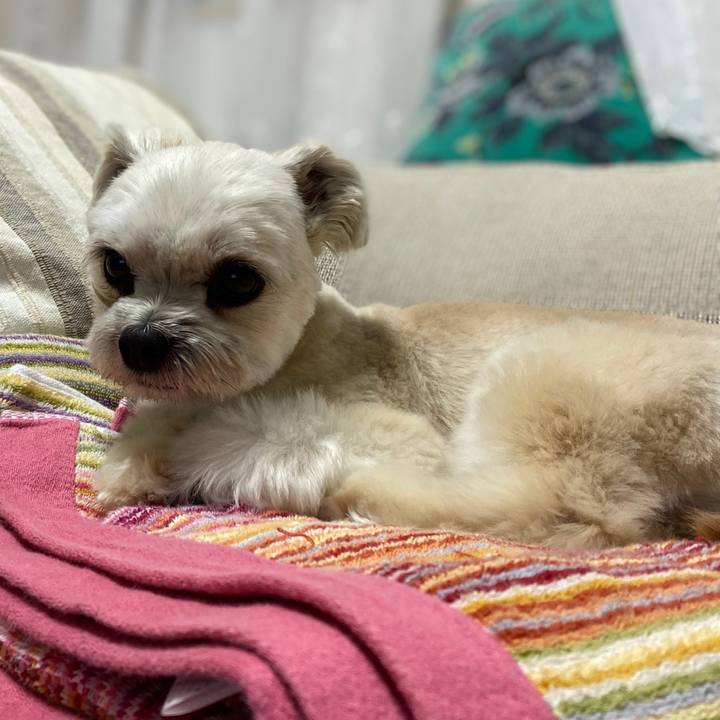 5547d40e d7ed 4698 b079 353157aed1fd 1583842408284