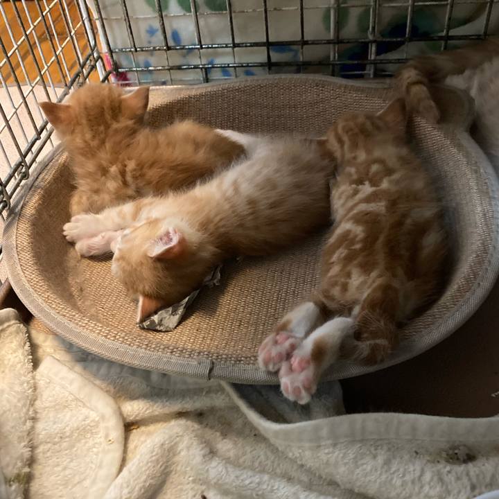 5547fba7 f5b5 41b0 8575 e38172b36933 1748044702322