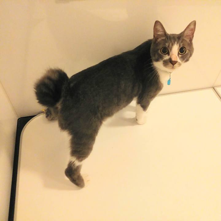 5548192b 8414 4548 9d32 ec8b5b4986cd 1592056529174