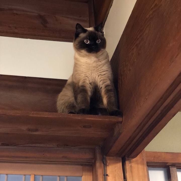 55483ae0 b471 4096 9f94 530f9c68c606 1617450629660