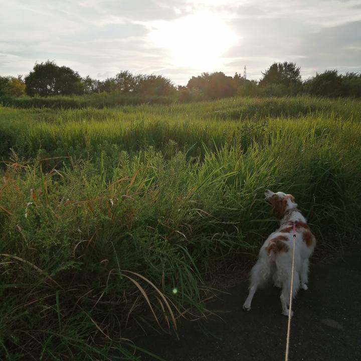 55484985 0002 41b7 b7d7 6ceddbd431ea 1599133509659