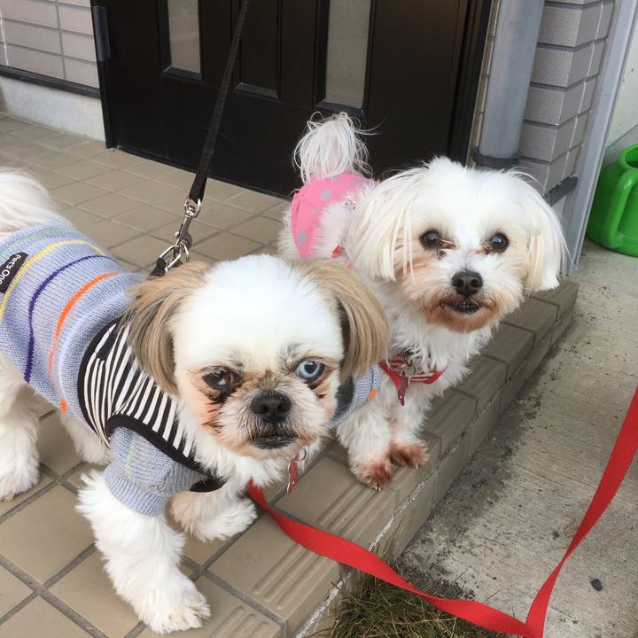 55487951 f133 4c98 a5c4 7c84befe2a57 1513393927924