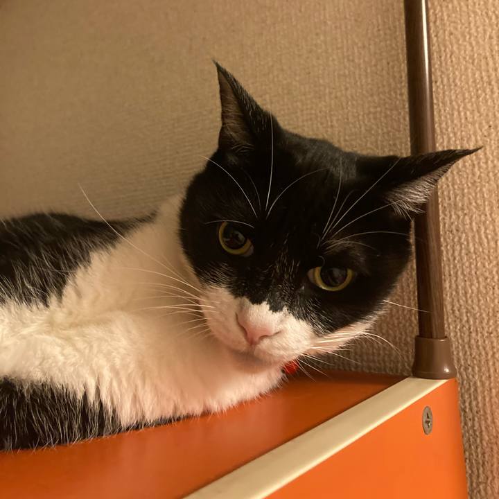 5548994f 9faf 45ef af6c 11836a6e4fcf 1687438201379