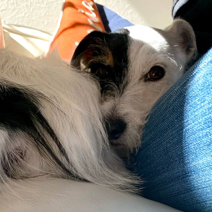 5548aa3f 9180 4f9d 98d2 21c7f7e03837 1699931129083