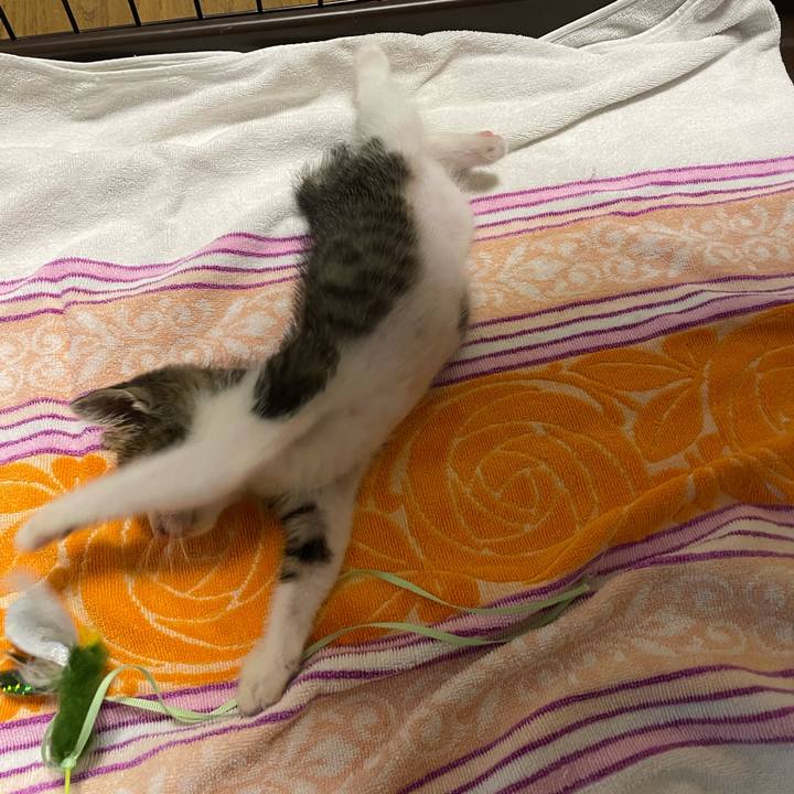 5548c1d6 acd8 4619 95d1 249c012e1714 1720177171136