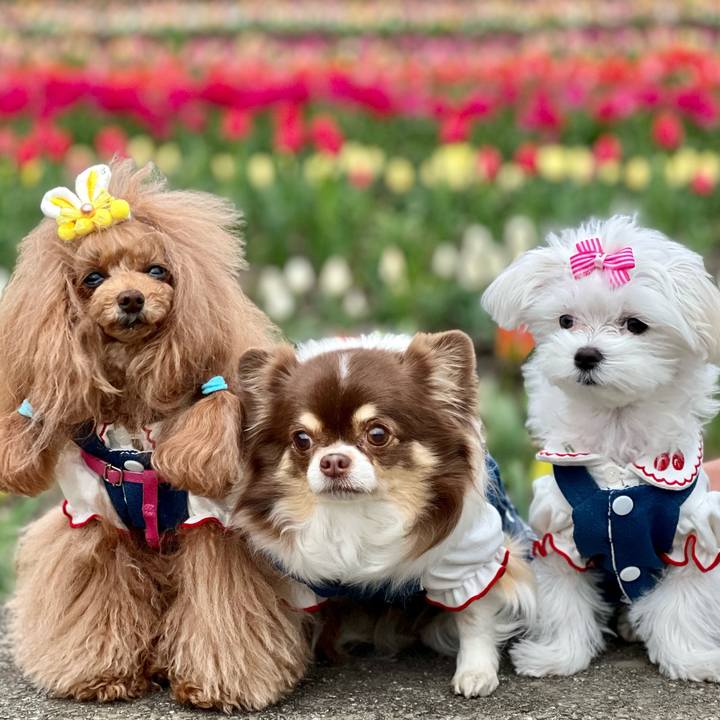 5548f77e 1621 4052 8216 34ac8b73bdb4 1712445802167