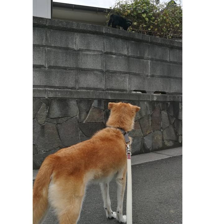 554901e4 d588 4f82 8ade 49de3add99d3 1508280378034