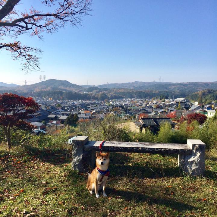 554916c0 483d 40df 9f3a 4a7d97063e31 1510217539393