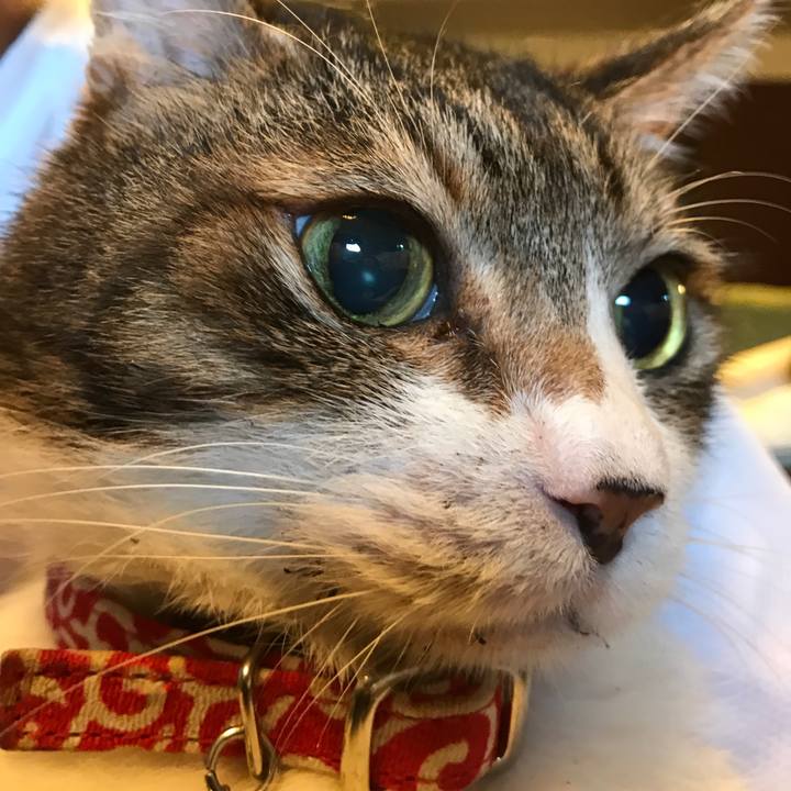 55494f15 4d1d 41c9 b53d f675a851eb48 1560647575688