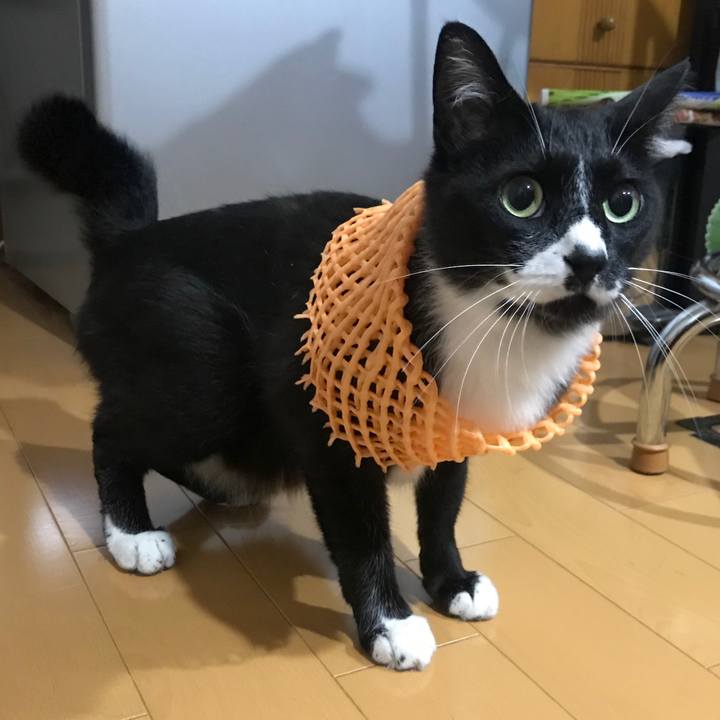 55495a35 0a39 4491 b5ba d82d8e7fc997 1594526143910