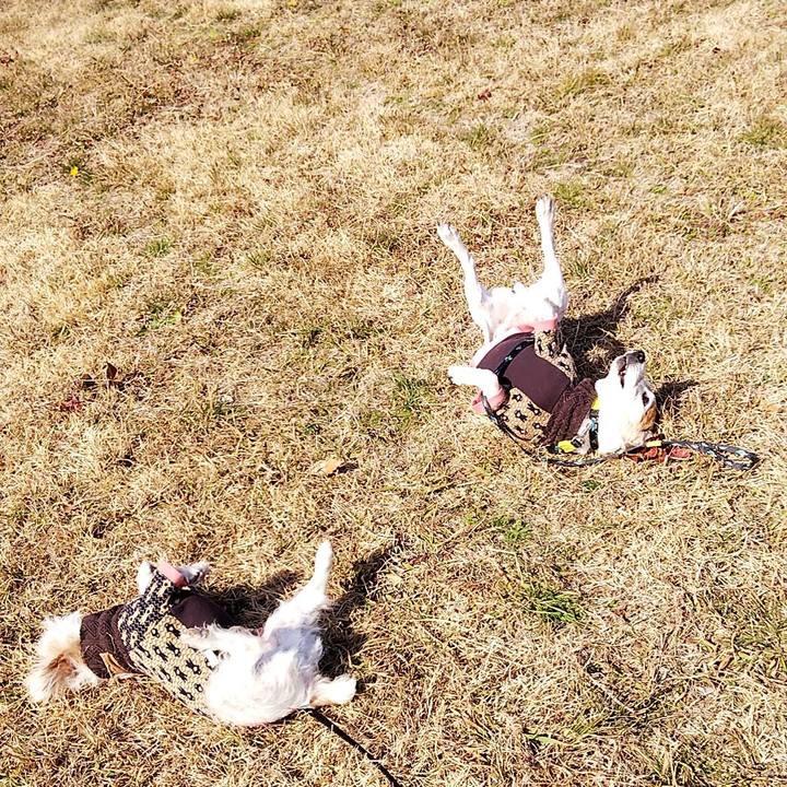 5549807d 541d 417a 9f00 dd4eb7b4f10e 1548568306352