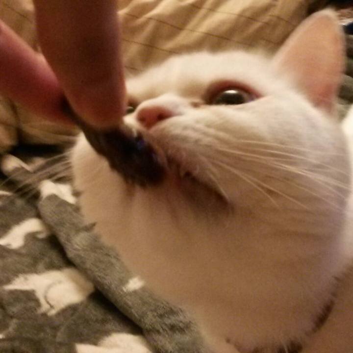 55498448 e1de 4158 97b1 d94a583a9598 1524654340596