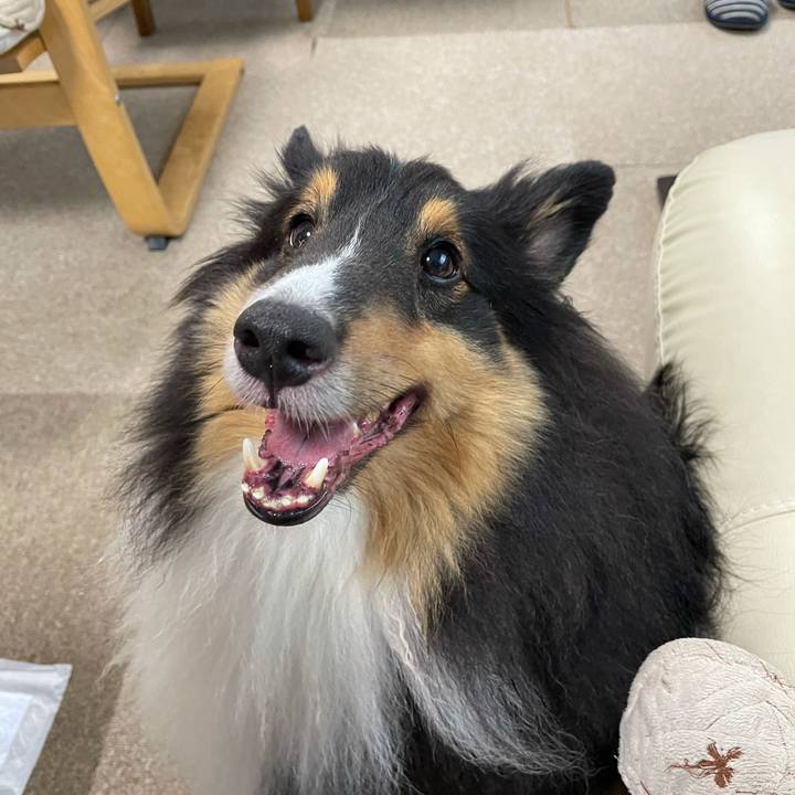 554999ae c49a 4167 9ace 1aca04dec7d4 1629237018179