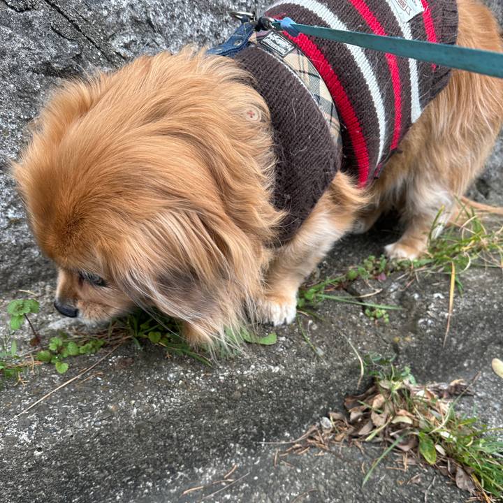 5549a86f 8a28 463b 9a0e 2763523f4f12 1736650928443