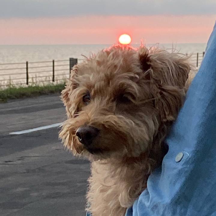 5549b6ce 3457 4c97 b006 5b7993f5fe5c 1625320317174