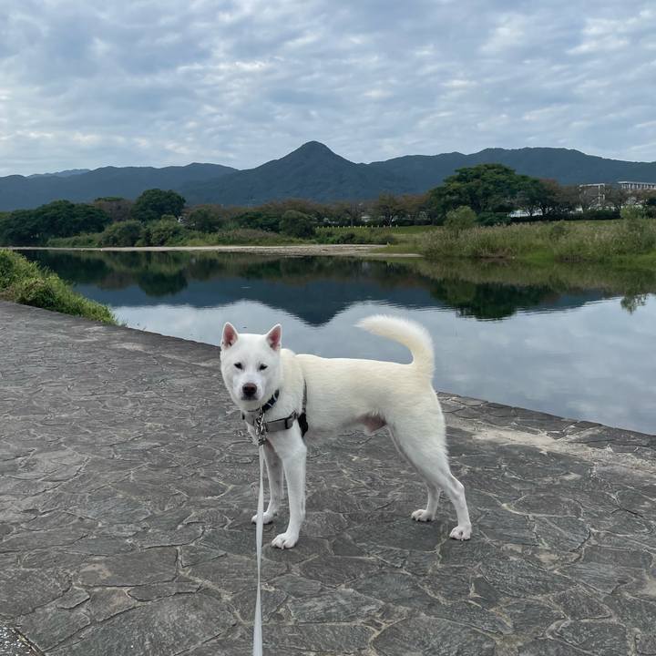 5549be60 7415 486b 93d7 6f19bda43bd9 1697238756709