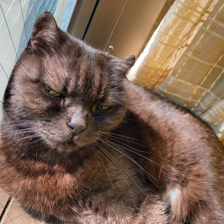 5549c262 c5b7 4000 b660 667384c28726 1614059490889