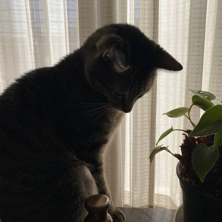 554a0363 cdfb 4f6b be0f e3ab2ac731cf 1766529390748