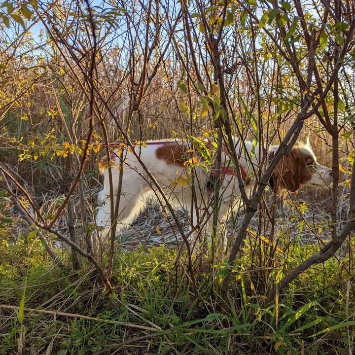 554a0455 57c7 4cf5 8602 93f45c5f4ff1 1639482010661