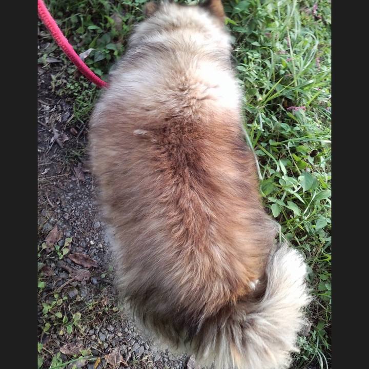 554a120c c59f 4950 ad1d b4bd568a7af0 1652764968148