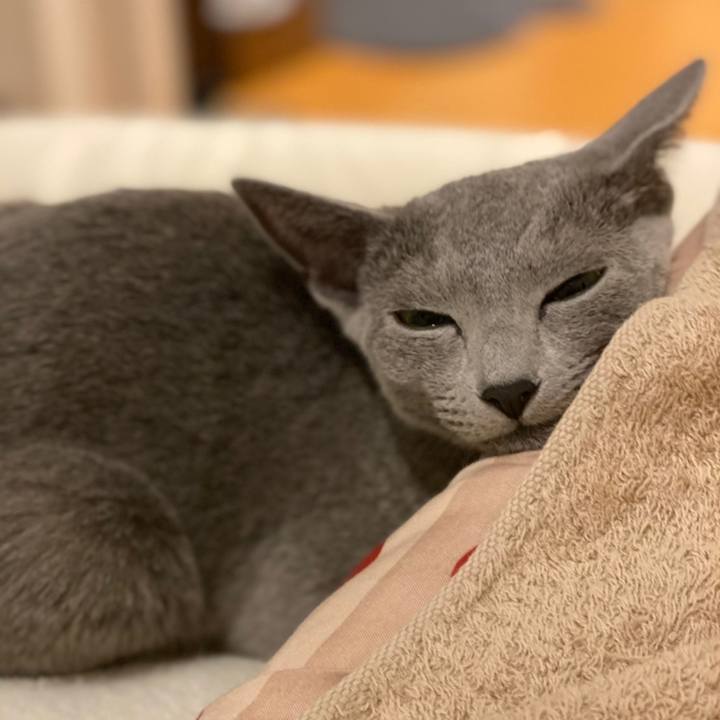 554a1fd8 2bd1 41d8 96fa 5933815164b1 1603289964287