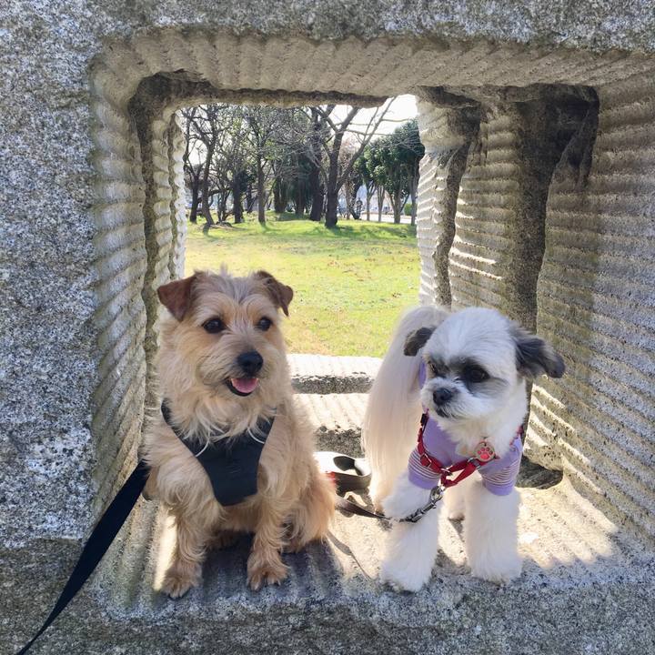 554a2612 5dfa 4ab3 b9b4 abede8a04234 1521092422012