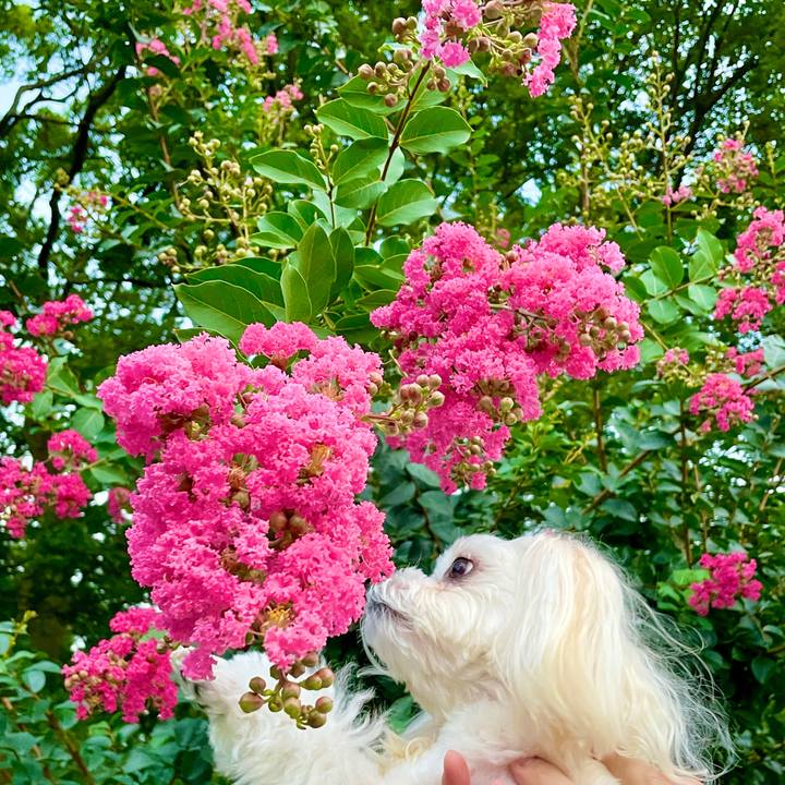 554a27f5 d0b3 446b 8f45 0bde1d1fa2a9 1628749103432